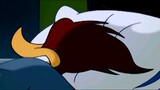 Woody Woodpecker as Donald Duck