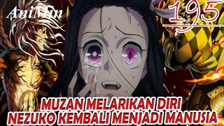 Muzan Melarikan Diri - Nezuko Kembali Menjadi Manusia - Review Kimetsu No Yaiba Chapter 195