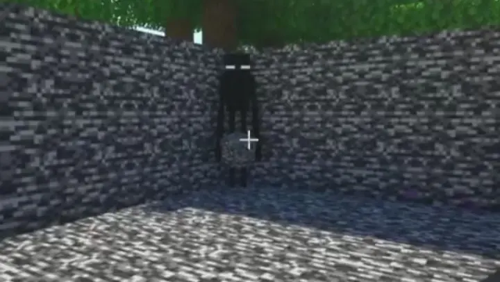 this is how to fight an enderman guy s