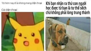 Những meme, ảnh chế hài hước mang tính giải trí cao| RakuMeme #30