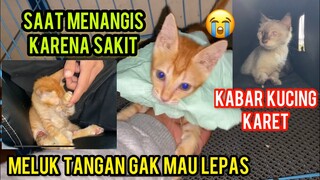 Anak Kucing Berterima Kasih Karena Di Tolong Sampai Meluk Tangan Gak Mau Lepas..!