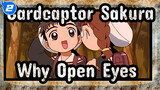 [Cardcaptor Sakura] Why the Liar Opened His Eyes?_2