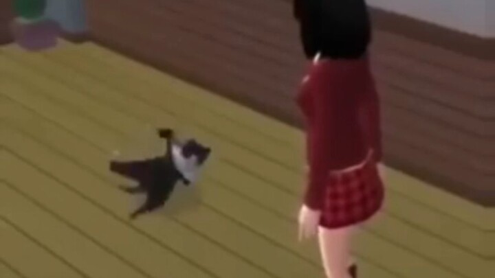 sims cat breakdancing and the beat is synced