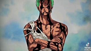 Ronoa zoro and Monkey D. Luffy