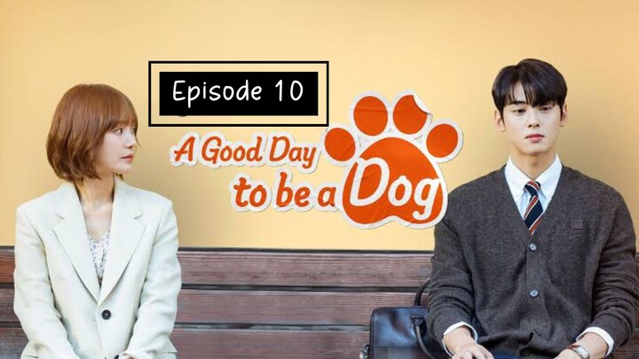 A. G. Day to be a 🐕 | ep10 | EngSub