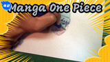 Kompilasi Manga One Piece | Video Repost_42