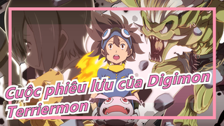 [Cuộc phiêu lưu của Digimon] Những cảnh dễ thương của Terriermon