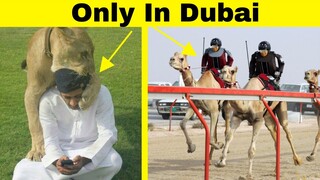Things That Are Possible ONLY IN DUBAI