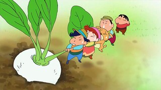 “Trong không khí vui tươi của việc nhổ củ cải, mọi người đã giúp đỡ, động viên lẫn nhau, không chỉ m