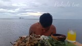 Saang or Cone shells Mukbang