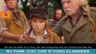 Review phim: Chú Chó Ở Vùng Flanders - Part 2 #reviewphim#phimhay