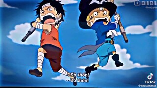 cá sấu nhọ nhất one piece