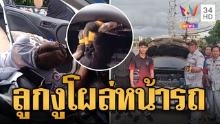 กรี๊ดลั่น! ลูกงูเหลือมโผล่หน้ารถเก๋ง ชาวเน็ตแห่ส่องเลขทะเบียน | ข่าวอรุณอมรินทร์ | 24/7/67