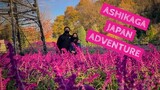 ASHIKAGA JAPAN ADVENTURE | Sports Cars, Shrines and Illumination