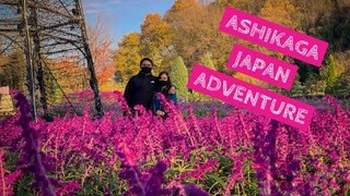 ASHIKAGA JAPAN ADVENTURE | Sports Cars, Shrines and Illumination