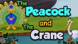 The Peacock and the Crane - Moral Story for kids