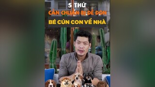 5 thứ cần chuẩn bị để đón bé cún con về nhà tuitienpet LearnOnTikTok dcgr