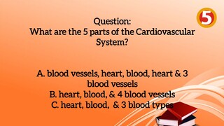 Circulatory System Quiz