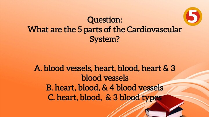 Circulatory System Quiz