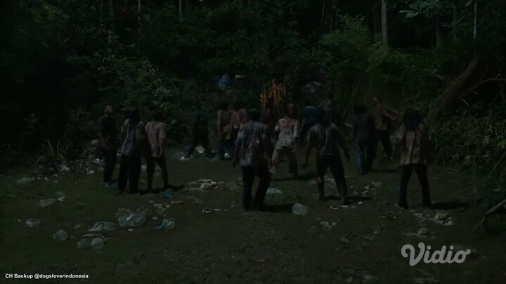 ZM eps 7