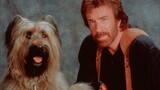 Top Dog (1995) | Starring Chuck Norris