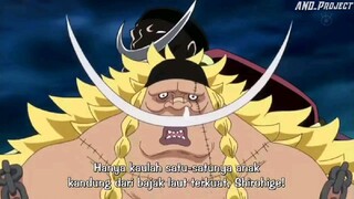 ANAK KANDUNG SHIROHIGE BANGKIT UNTUK BALAS DENDAM !!? -one piece terbaru