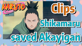 [NARUTO]  Clips |Shikamaru saved Akayigan