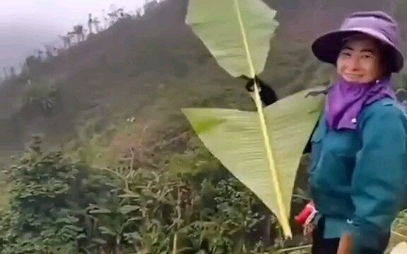 Homemade aircraft (banana leaf version) is so beautiful the moment it flies