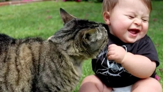 Funny Cats And Dogs Playing With Babies Compilation 🔴 Gatos y Perros Jugando Con Bebés Recopilación