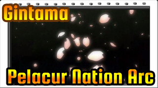 [Gintama] Pelacur Nation Arc