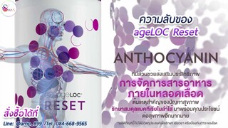 ไขความลับ ageLOC Reset Metabolic Nuskin เอจล็อค รีเซ็ต นูสกิน