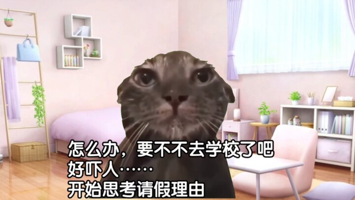 【猫meme】关于我高中成为迟到仙人这件事