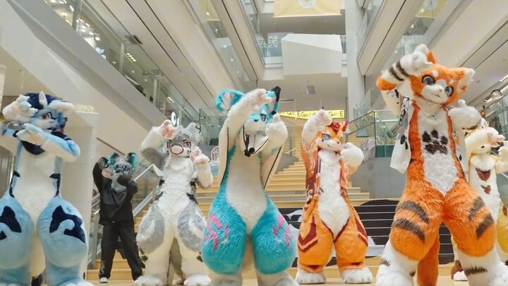 【Memories of this moment】The largest project in the country——50 furry house dance relay! !