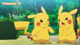 Pokemon (Short Ep 48) - Khá giống Pikachu #pokemon