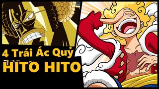 4 Trái Hito Hito Có Gì Hot??? 3/4 trái đều là Zoan Thần Thoại !!!