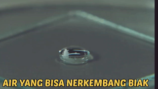 Misi ke bulan untuk mencari dan meneliti air