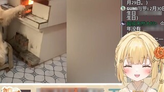 A gentle Japanese girl watched "Who will take care of you when you get old if you don't get married?