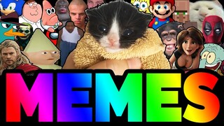 BEST MEMES COMPILATION V20