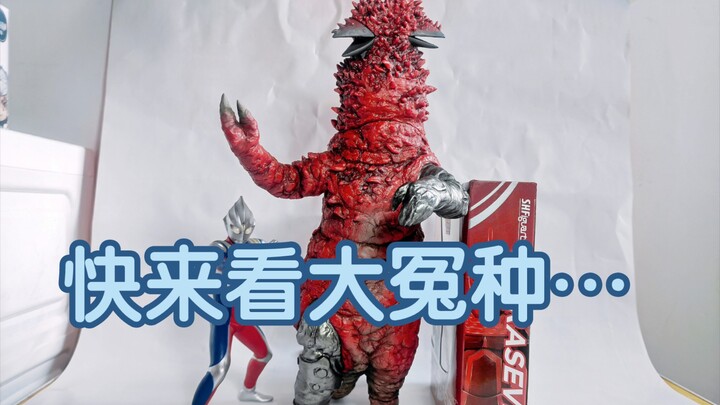 山区小up头一次买CCP居然是因为这？千元空心胶 赛文奥特曼 史上最大侵略 双头怪兽庞顿 30CM手办开箱 监介了模玩分享第二季32