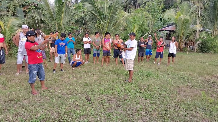 Sabong sa Cebu (Tabla)