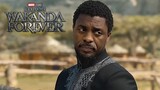 Marvel Black Panther 2 Wakanda Forever Idris Elba T'Challa Arrives