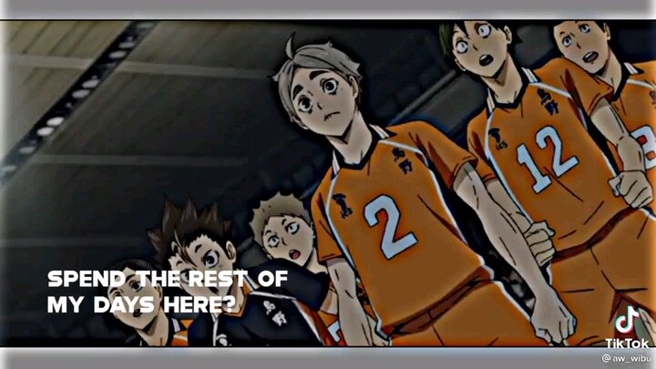 Haikyuu!! (ctto)