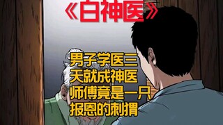 男子学医三天就成为神医，师傅竟是一只报恩的刺猬