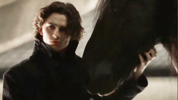 Help!!! The deleted scene of "Dune", the scene where Timothée Chalamet touches the horse is so beaut