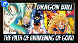 DRAGON BALL|【MAD】The Path of Awakening of Goku_2