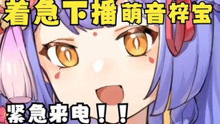 【阿梓】紧急来电：着急下播的萌音阿梓宝（入脑型声线🤤）