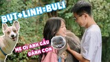 GẤU VÀ MÉO ĐÁNH LỘN TRONG BUỔI CHỤP GIA ĐÌNH NHÀ BULI