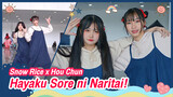 [Snow Rice×Hou Chun][เต้น Cover]เพลง Hayaku Sore ni Naritai!