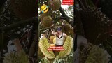 DURIAN Girl😋Satisfying Durian Video #durian#satisfying#trending#shorts