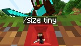 I secretly used a TINY Mod in a Minecraft Manhunt..